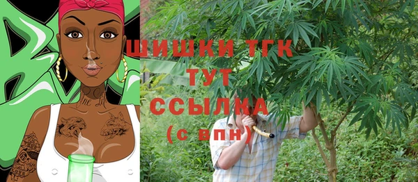 сатива Лабытнанги