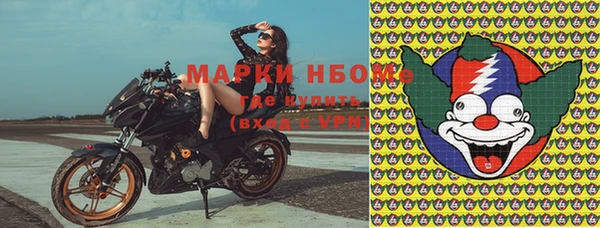 сатива Лабытнанги