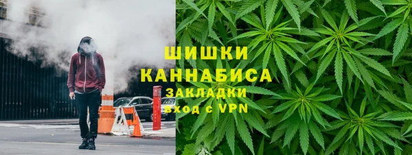 сатива Лабытнанги
