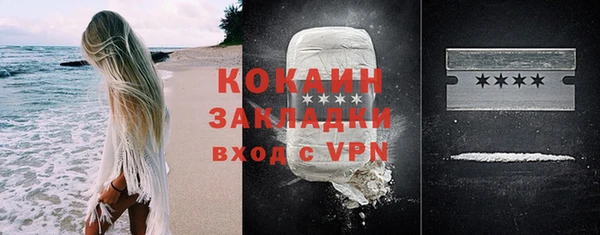 сатива Лабытнанги