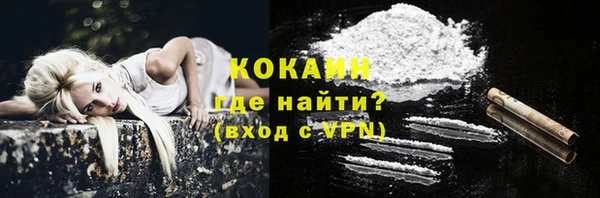сатива Лабытнанги