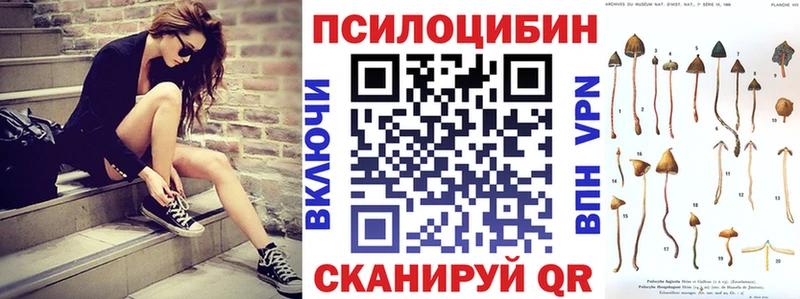 купить цена omg как зайти Галлюциногенные грибы GOLDEN TEACHER Юрга