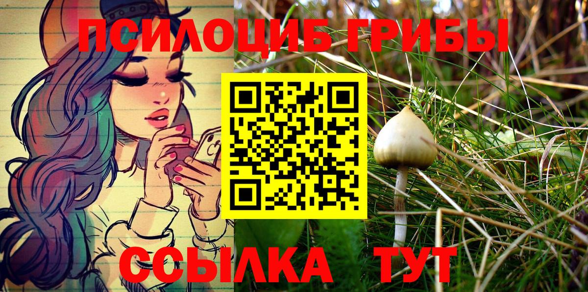 Галлюциногенные грибы Psilocybe Юрга