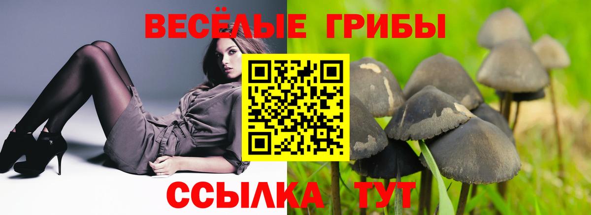 Псилоцибиновые грибы Psilocybe  Вход с VPN  Галлюциногенные грибы Psilocybine cubensis  Юрга 